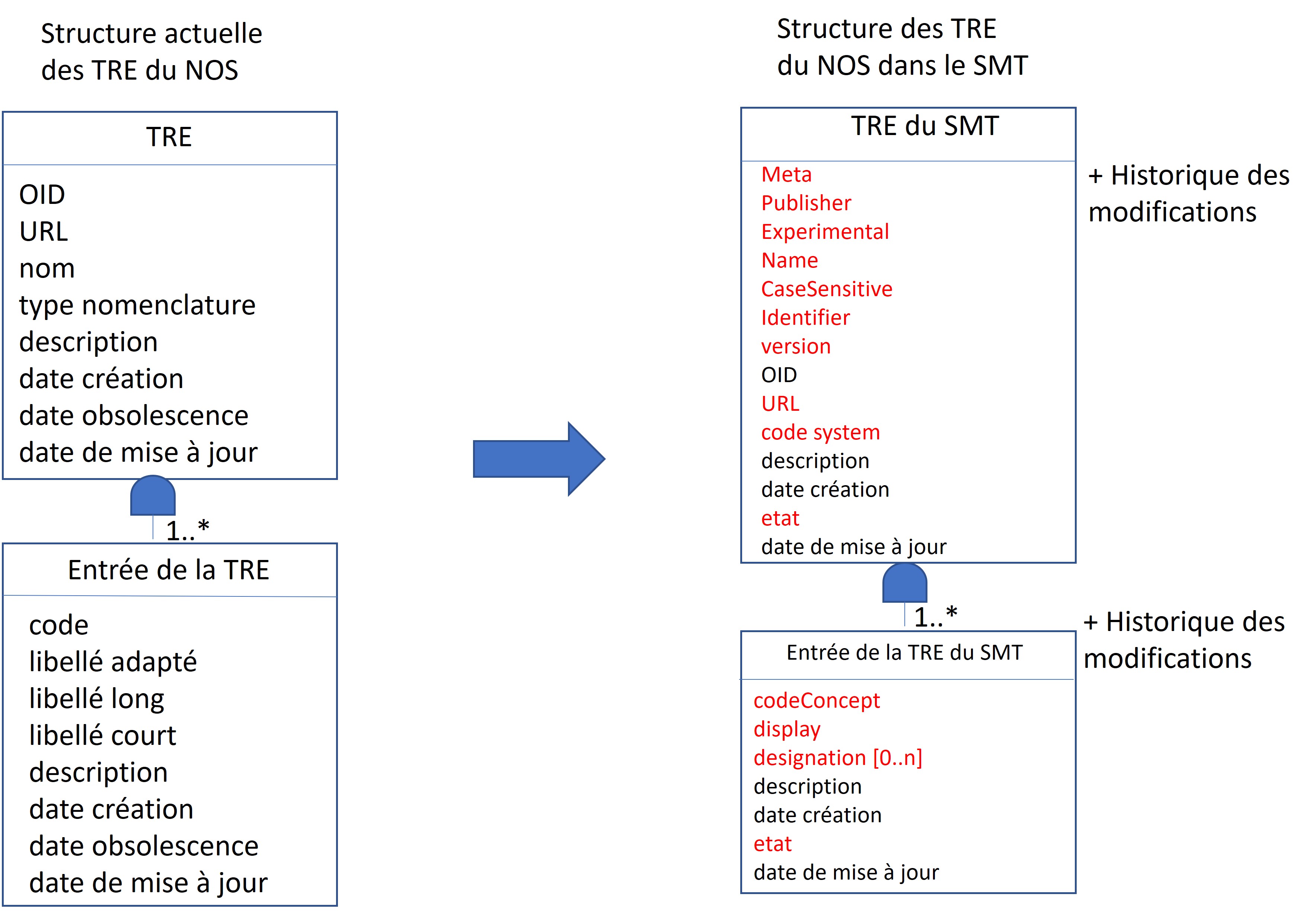 NOS Migration vers le SMT : Impacts Sur La Structure DesTRE