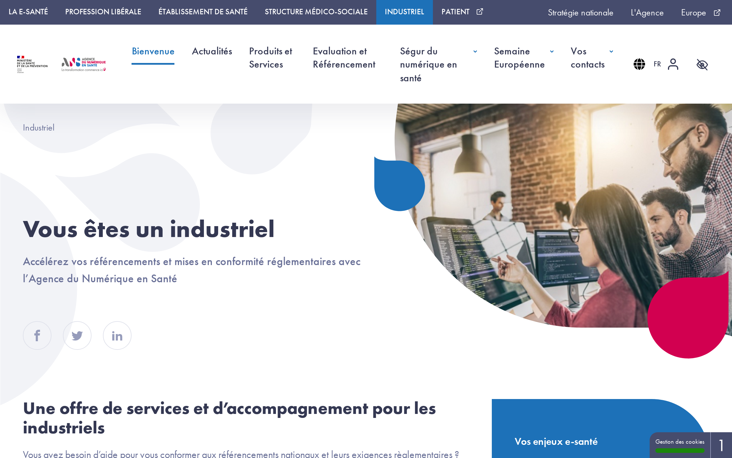 Copie d'écran de https://industriels.esante.gouv.fr/