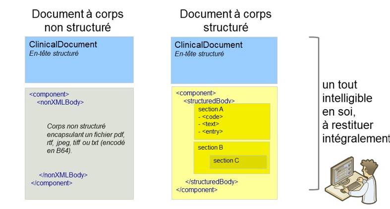 Les deux formes de documents CDA